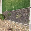 Iceplant 4