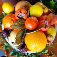 Persimmon Fruit Tree 200mm pot 2