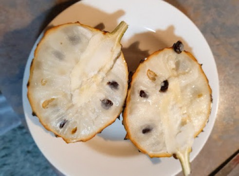Persimmon Fruit Tree 200mm pot 10