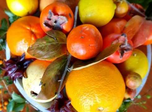 Persimmon Fruit Tree 200mm pot 2