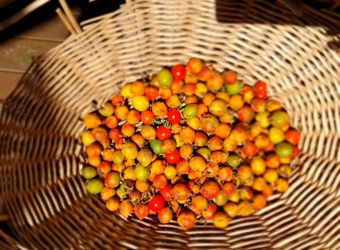 Yellow Strawberry Guava 2
