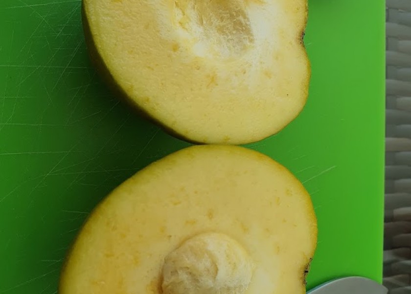 Persimmon Fruit Tree 200mm pot 11