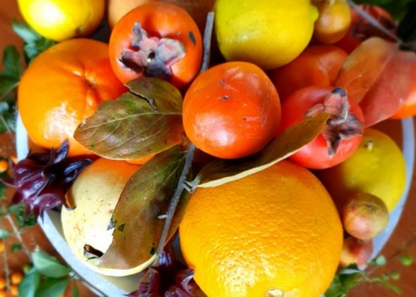 Persimmon Fruit Tree 200mm pot 2